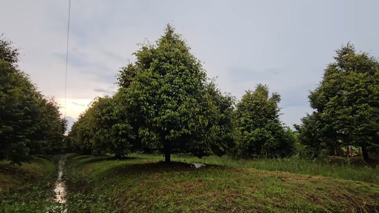 Dark elegant fragrance bottle reflecting mystery sophistication and refined masculine style in a moody atmospheric setting
