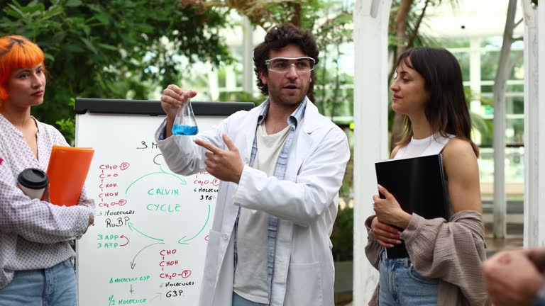 what is carrying capacity in biology population growth curve