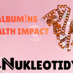 Albumīns protein structure representing human health balance and blood stability