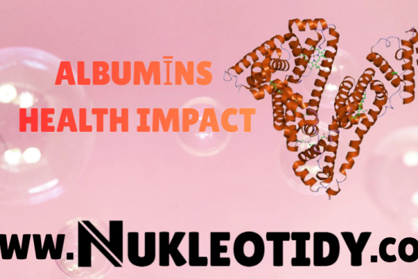 Albumīns protein structure representing human health balance and blood stability
