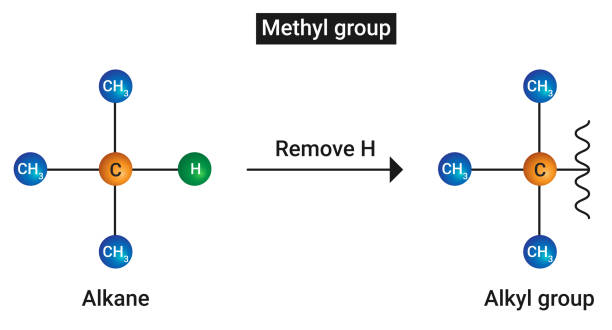 A Guide to Hcooch ch2 H2o