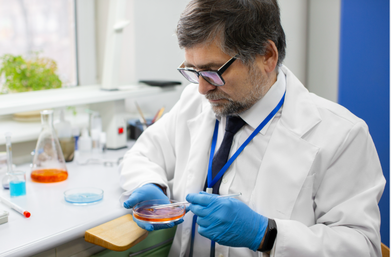 Workers applying speciering compound evenly on interior wall surface using professional tools to achieve smooth durable finish for modern construction projects