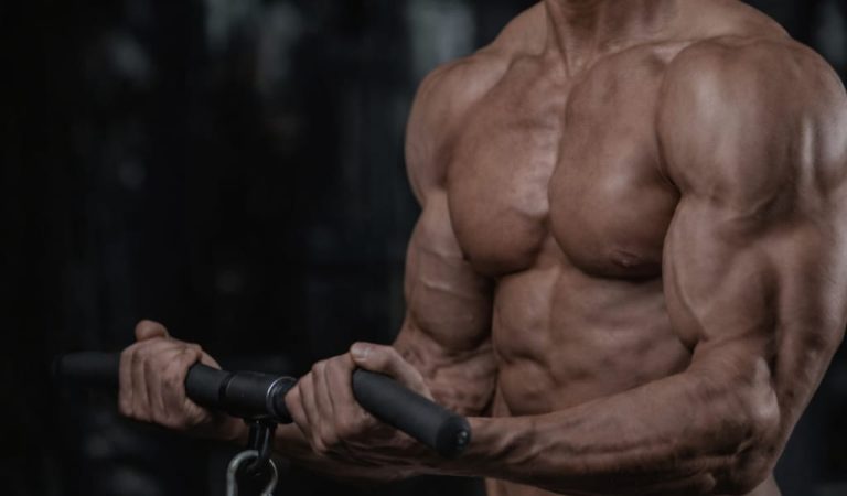 Men’s Guide To High And Low Testosterone Levels