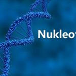 DNA, Adenine, Cytosine, Guanine, Laboratory