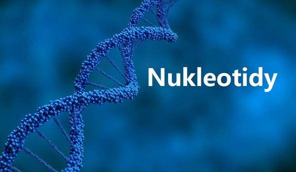 DNA, Adenine, Cytosine, Guanine, Laboratory