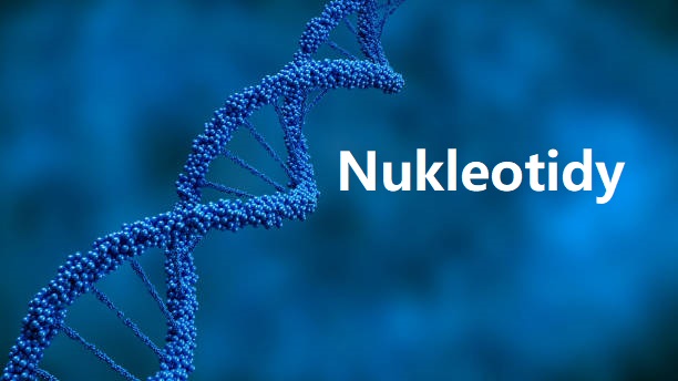 DNA, Adenine, Cytosine, Guanine, Laboratory